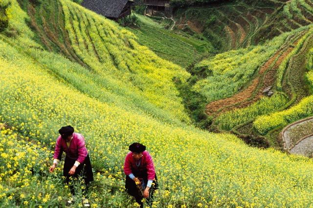 Chine Intimiste Chine Intimiste