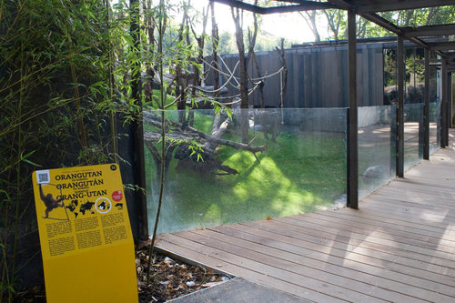 zoo-barcelone-decors-en-bois-billet-entree