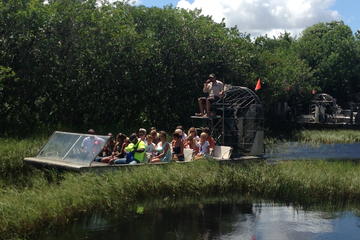 miami-excursion-a-everglades-et-spectacle-alligators