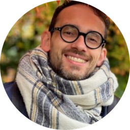 Romain conseiller Japon