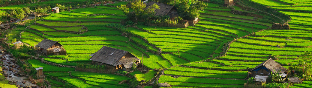 vietnal-rizieres-bandeau-slide