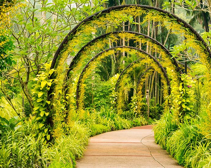 Singapour : jungle urbaine, 3 jours pour visiter | Asia.fr