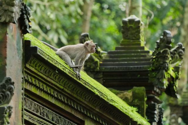 Bali - Indonésie - Circuit Privé Secrets de Bali (cat. confort) et séjour Bali 4*