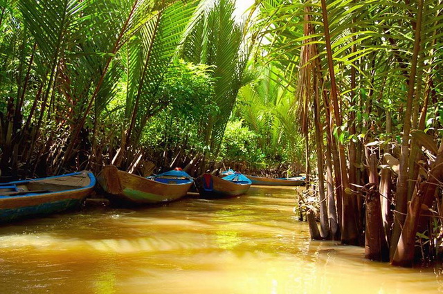 mekong cambodge