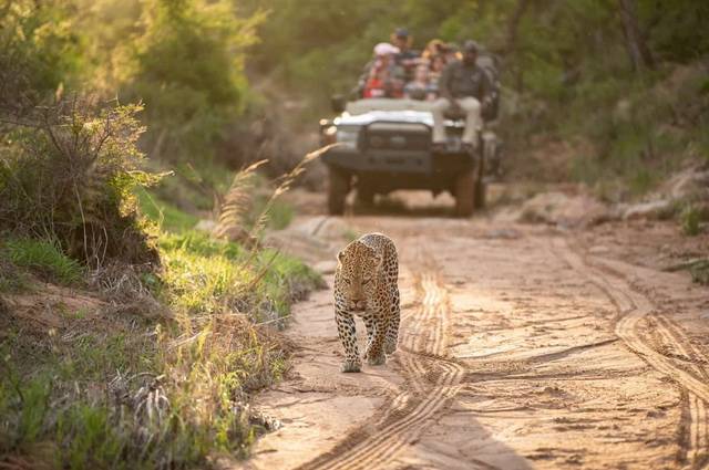 Afrique du Sud - Swaziland - Eswatini - Circuit Privé Du Cap au Kruger (cat. sup.)