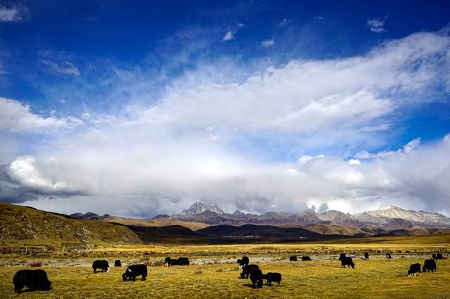 Sichuan Intimiste - Chine - 21