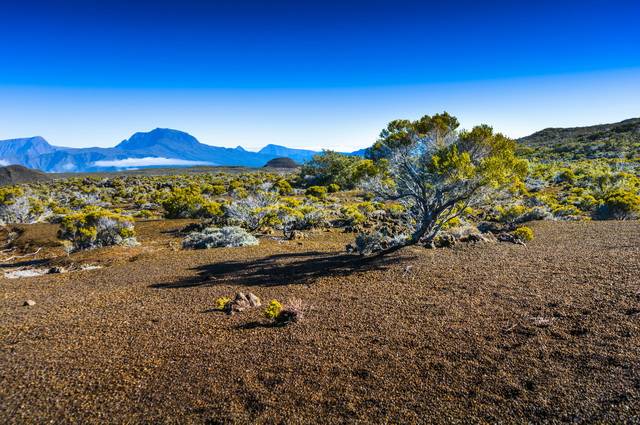 La Réunion intimiste