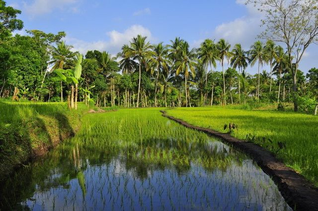 Indonésie - Circuit Privé Duo Bali Lombok - Indonésie