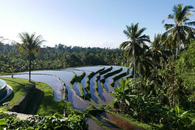 Circuit Privé Magie douce à Bali (cat. confort) - Indonésie