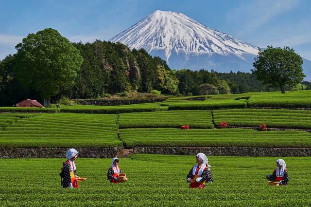 Japon Essentiel + Extension Mont Fuji avec Air China