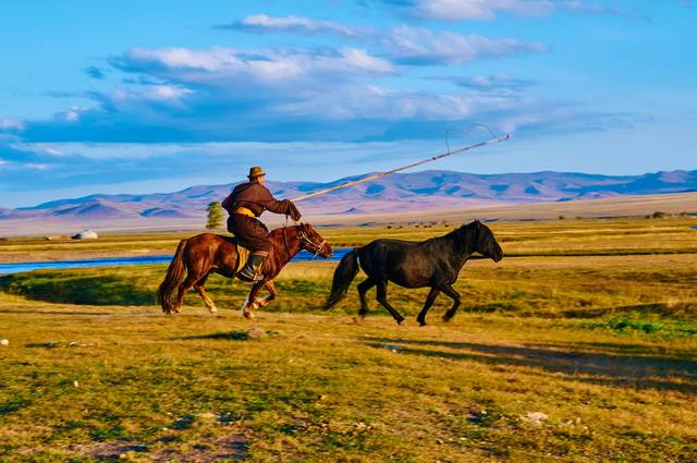 Pastorale Mongole - Mongolie 4 *