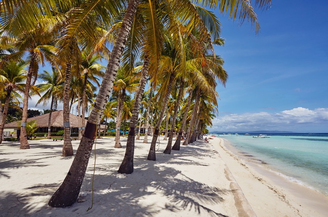 Philippines - Ile de Panglao - Hôtel Bohol Beach Club 3*