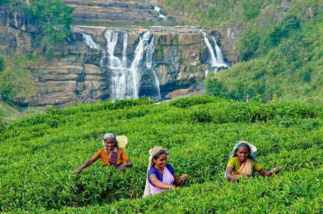 Circuit Privé Escale à Kandy + séjour Induruwa 4* - Sri Lanka