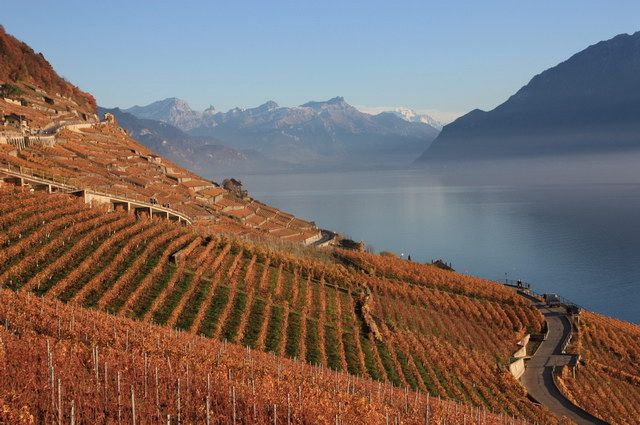 La Suisse en train panoramique (été) - Collection Intermèdes by Asia - 6