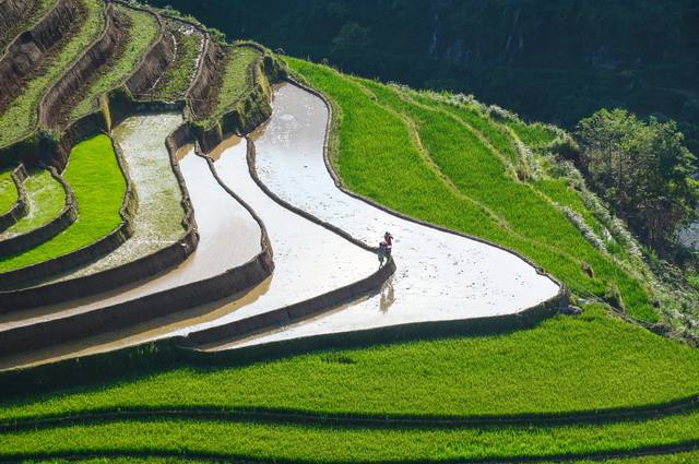 Vietnam Essentiel + prologue Sapa 4 *