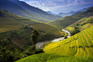 Vietnam Intimiste - 2