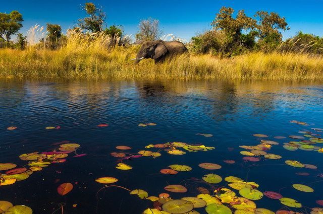 Odyssée en Afrique australe - Zimbabwe, Botswana, Namibie