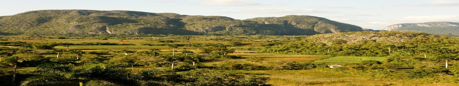 Havanatour