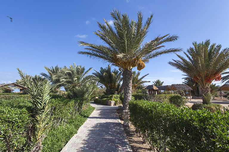 SEJOUR GOLF SEABEL RYM BEACH4*, 4 GREEN FEES, tout compris (7 nuits)