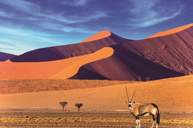 Namibie désert du Namib